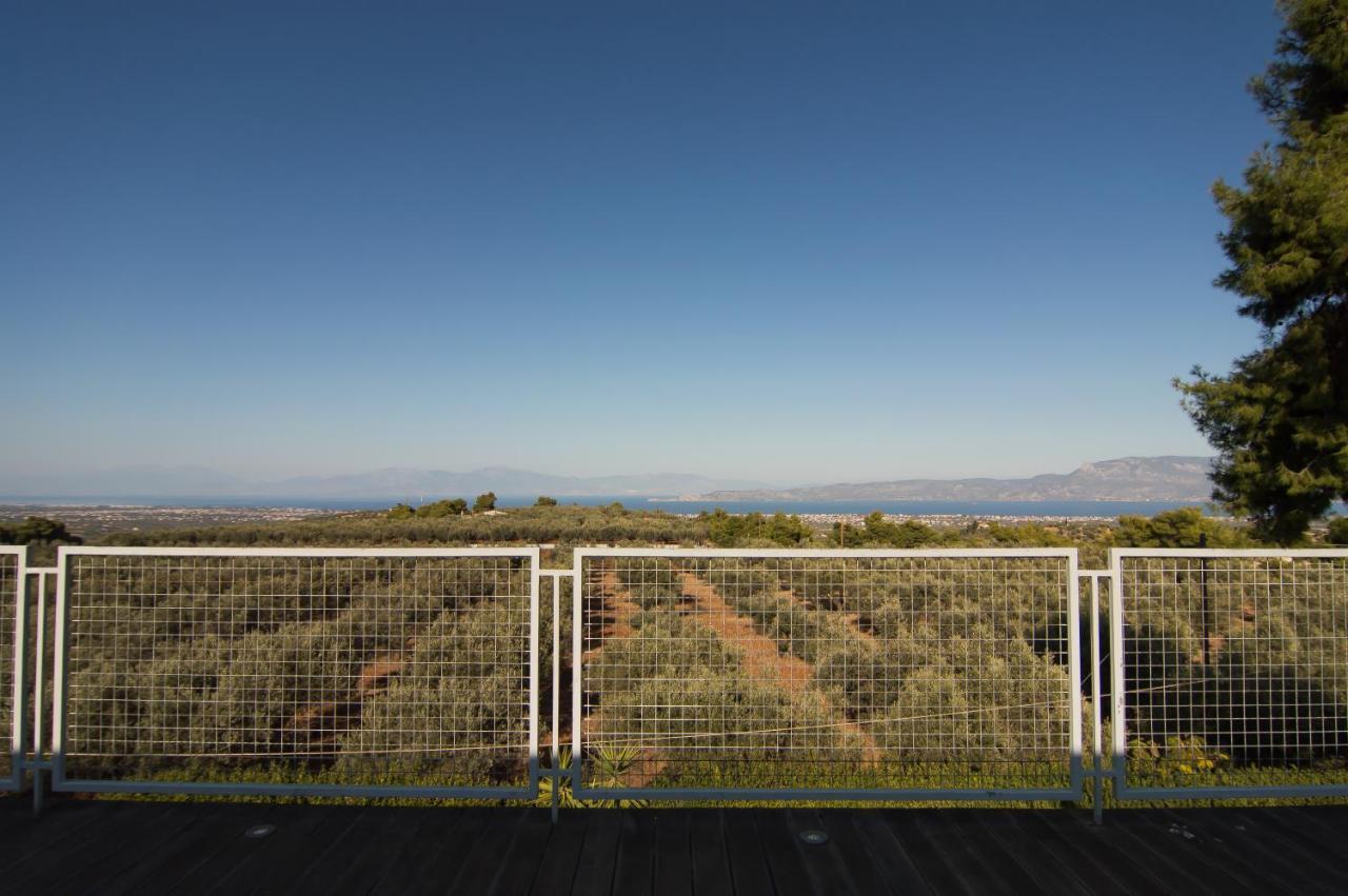 Country Villa Peloponnese With Tennis Court And Pool Zevgolateíon Exteriör bild